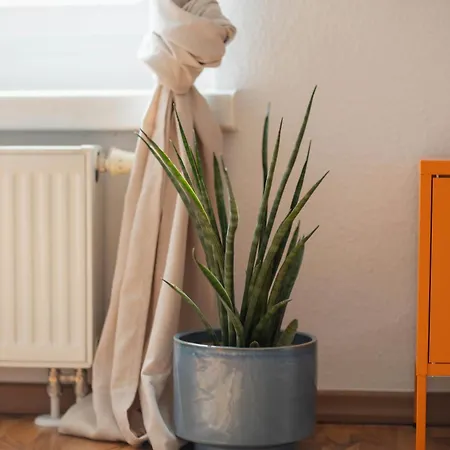 Lägenhet Fritz Am Bauhausmuseum Dessau-Rosslau